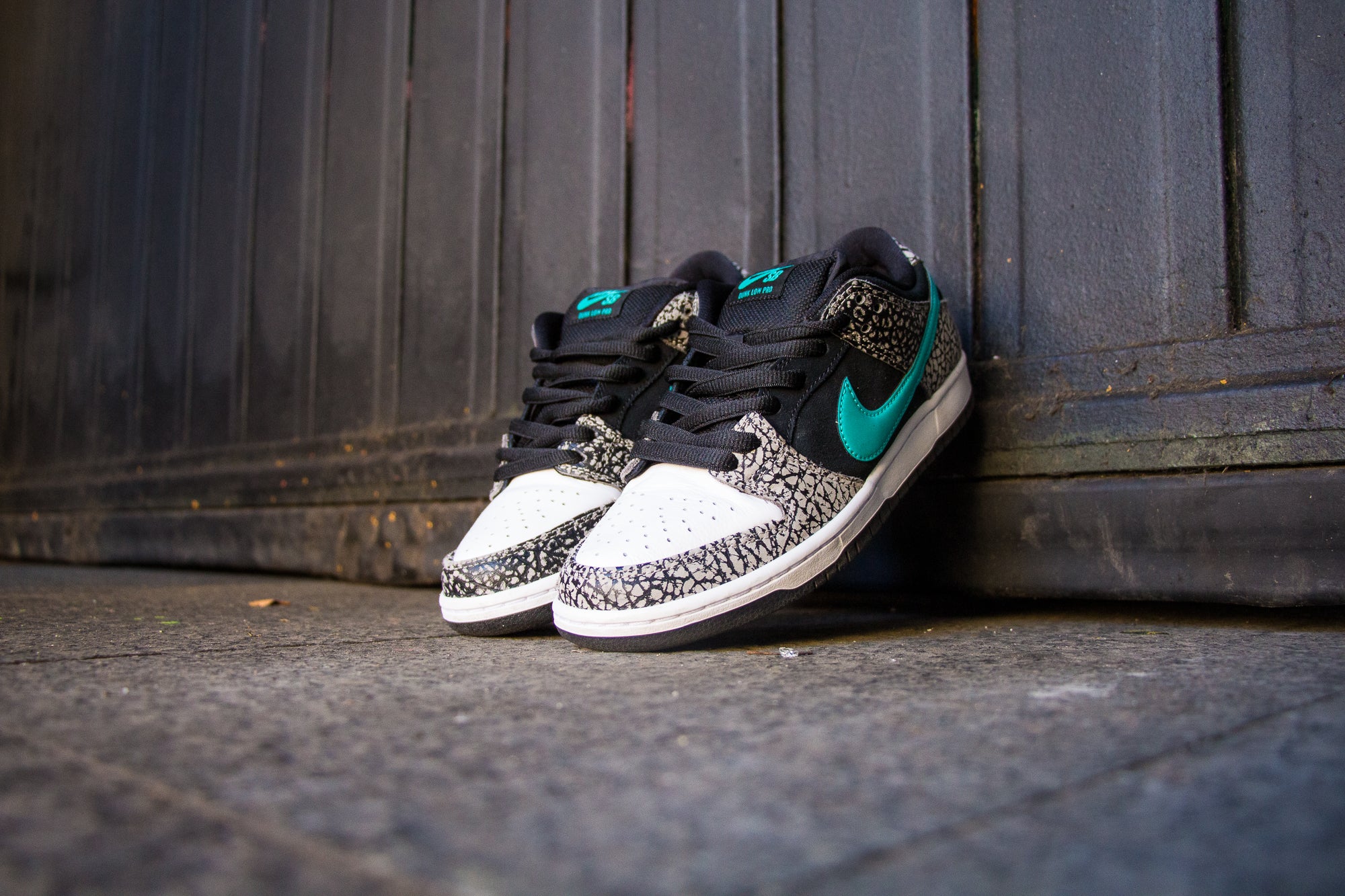 Nike sb hot sale elephant print